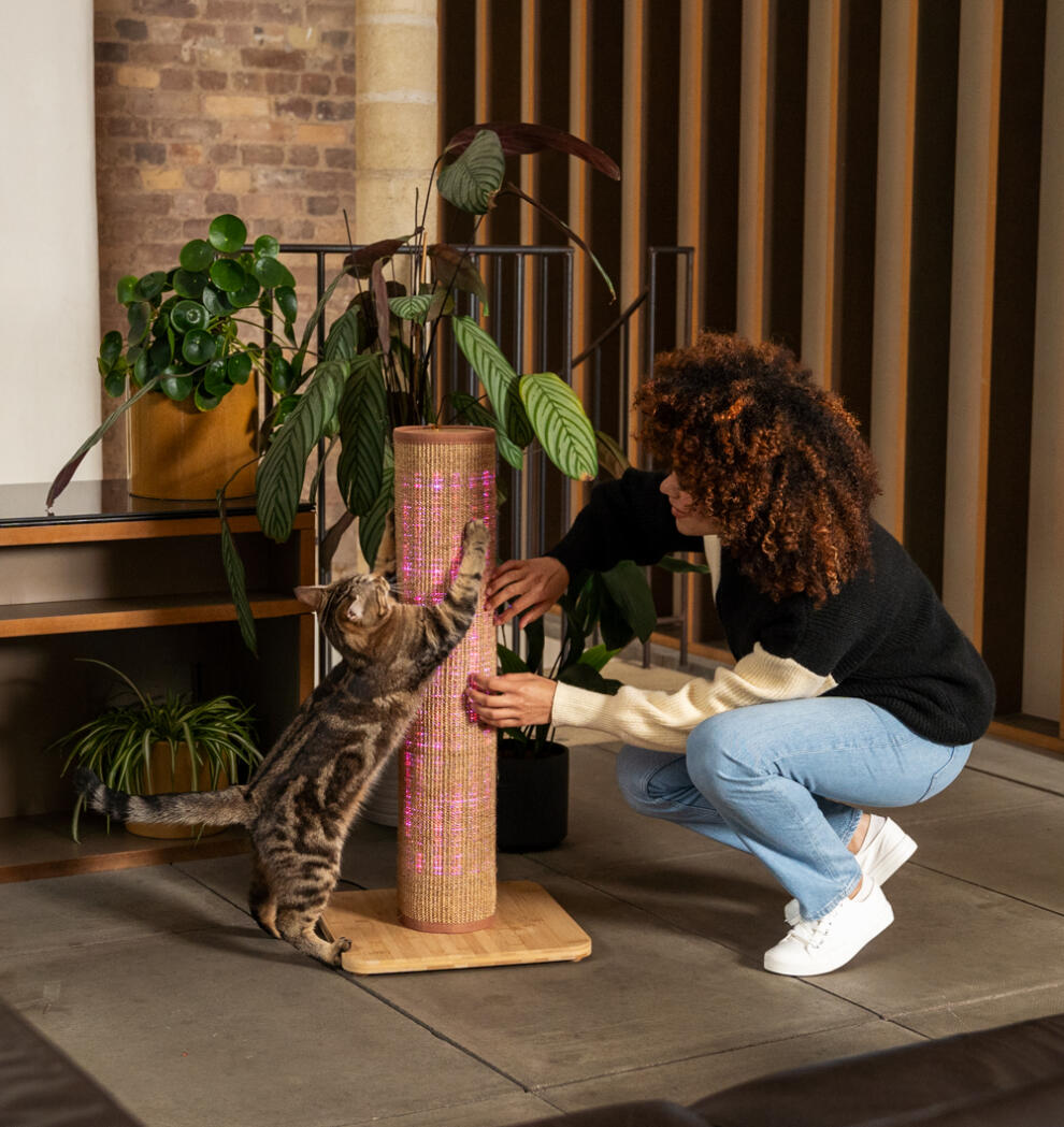 Woman crouched down and playing with the Switch cat scratcher with their cat.