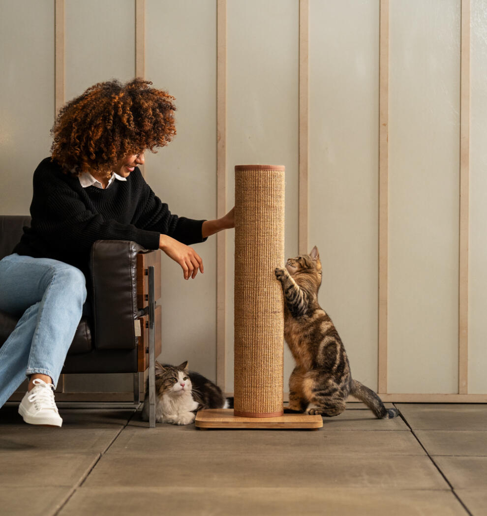 Women interacting with her cats playing with the coffee-coloured Switch cat scratching post.