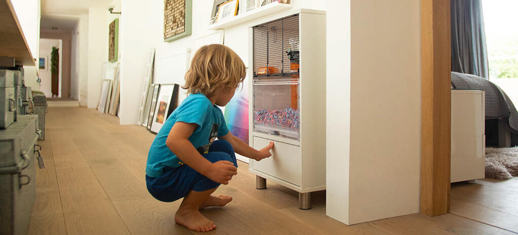 Modern hamster house hot sale
