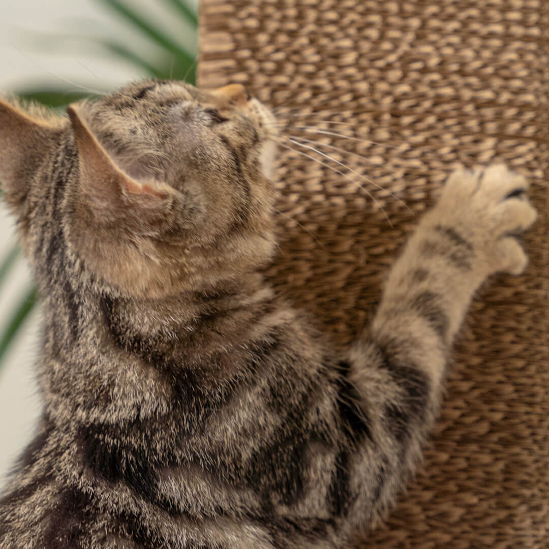 Stak Cardboard Cat Scratching Post - Tall | Omlet Stak Cardboard Cat Scratching Post - Tall | Omlet