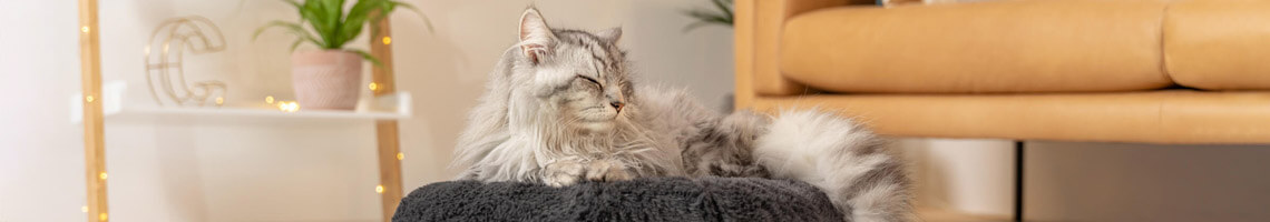 maya donut cat bed moulds around your cat's body