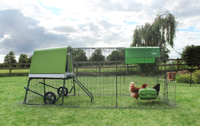 green portable chicken coop in garden
