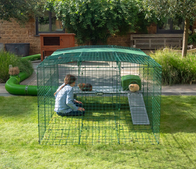 Girl sitting inside Zippi Guinea Pig Run