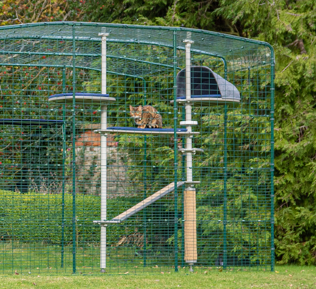 Omlet Outdoor Catio with Freestyle Outdoor Cat Tree and Cat sitting on it