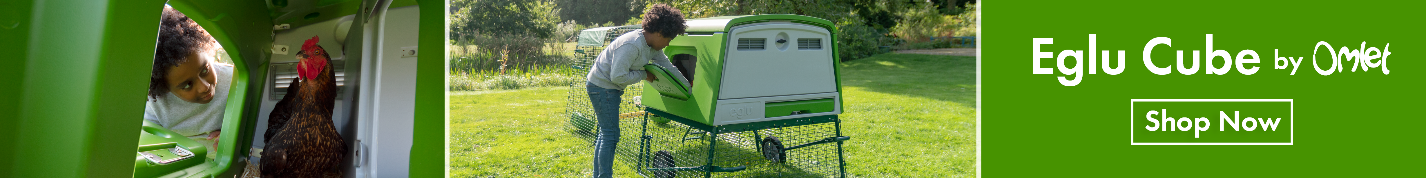 Eglu Cube chicken coop designed by Omlet