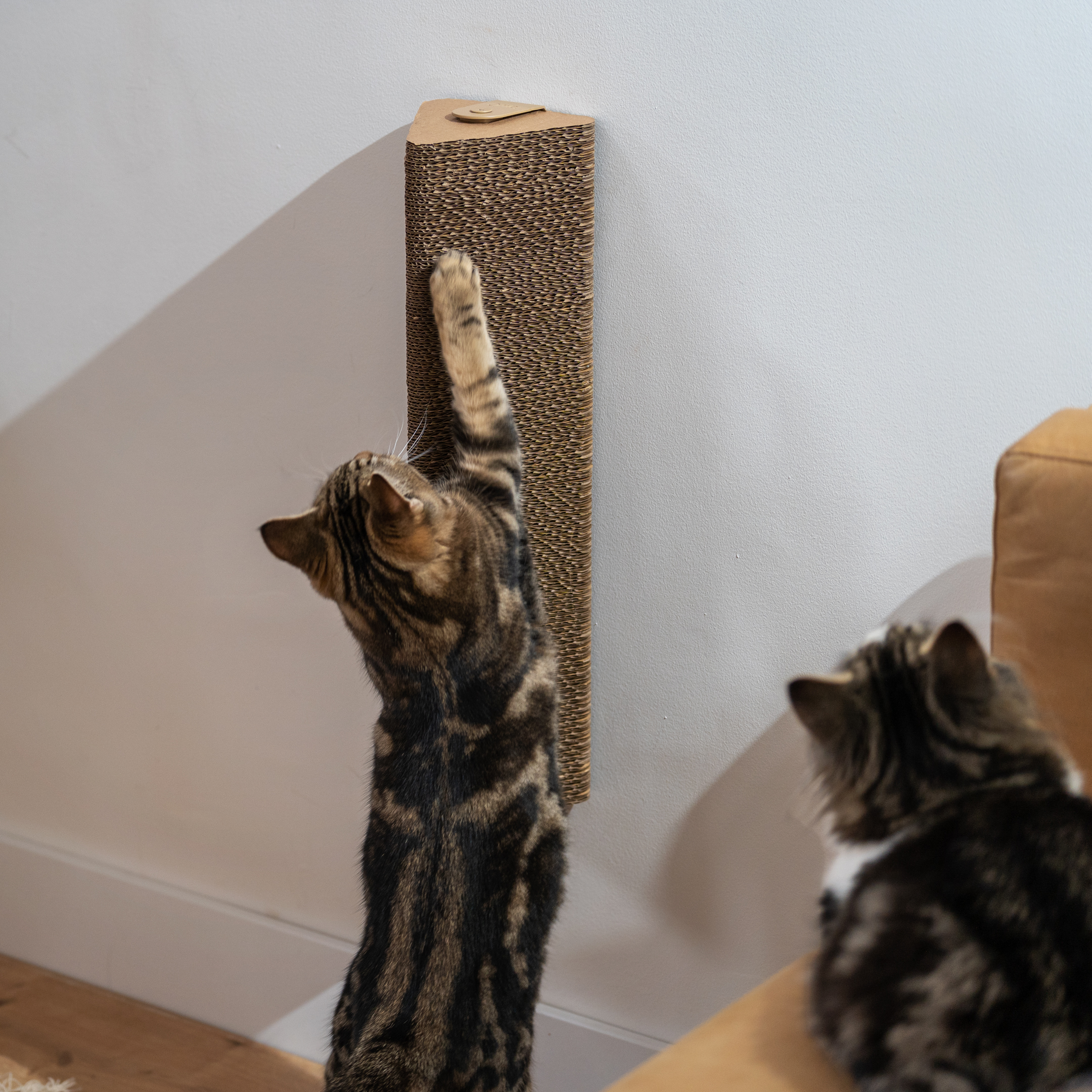 Refillable Cardboard Cat Scratching Post - Wall Mounted | Omlet