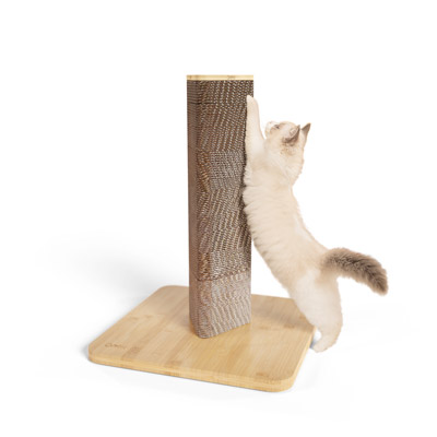 cat scratching post