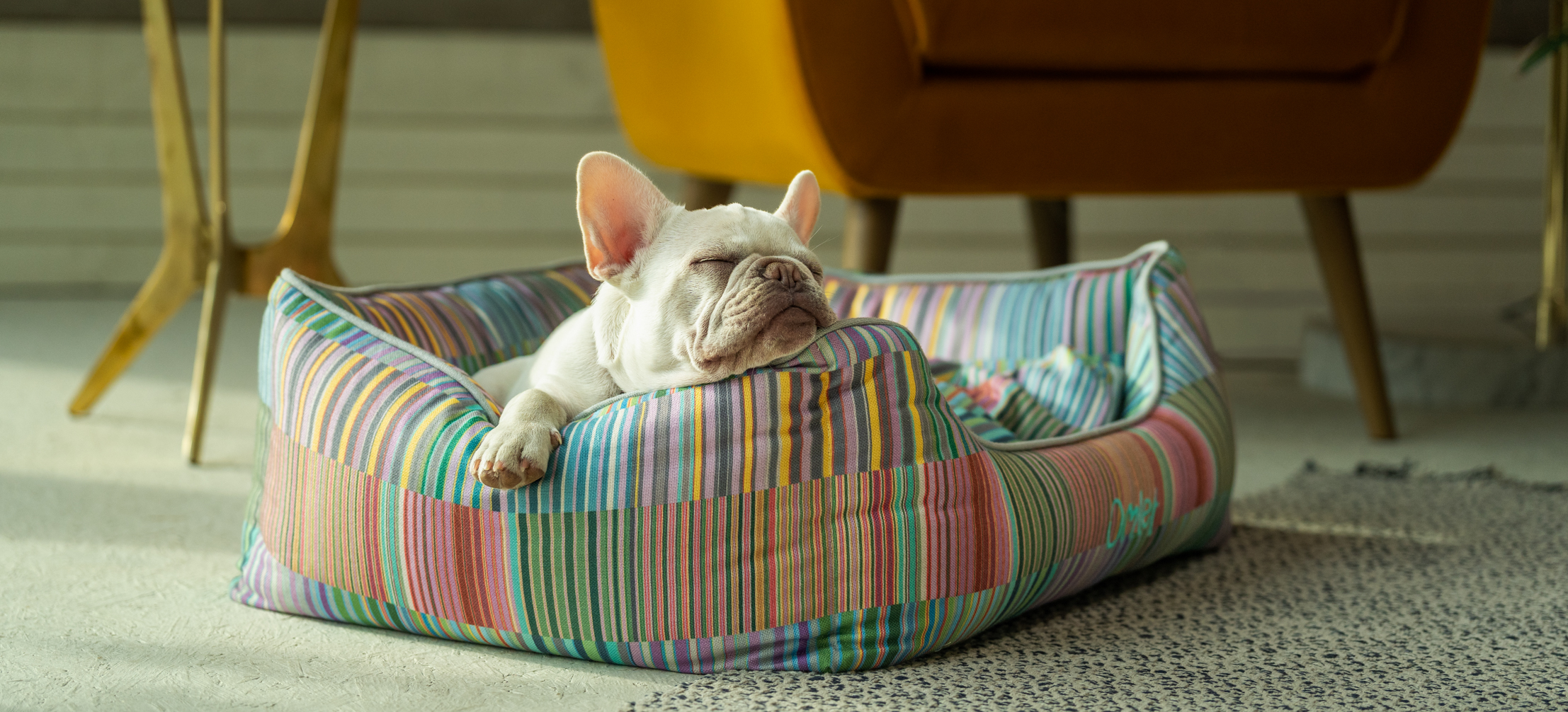 How to clean a store dog bed with pee