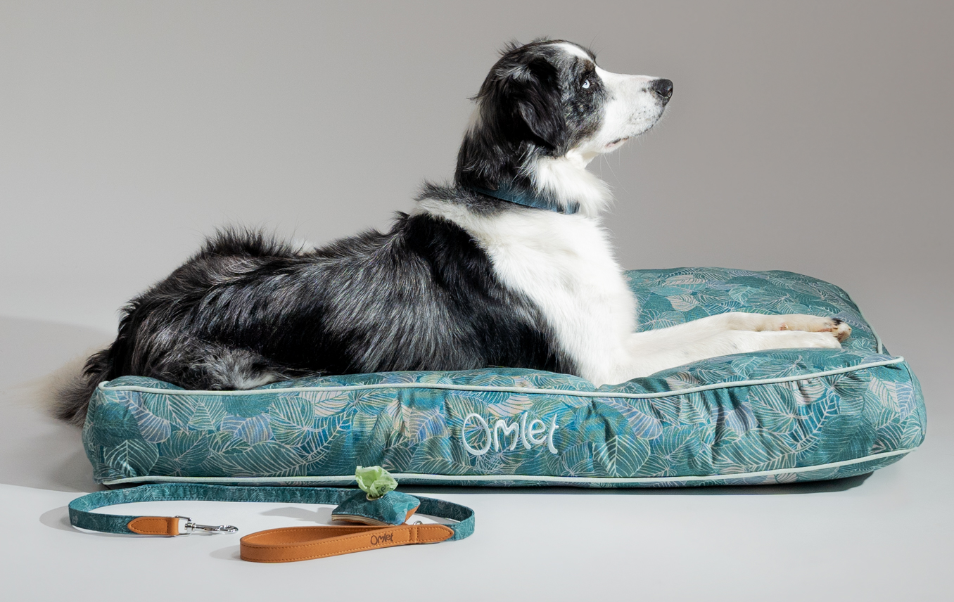 
Border Collie couché sur un coussin pour chien Omlet en imprimé Nature Trail Teal