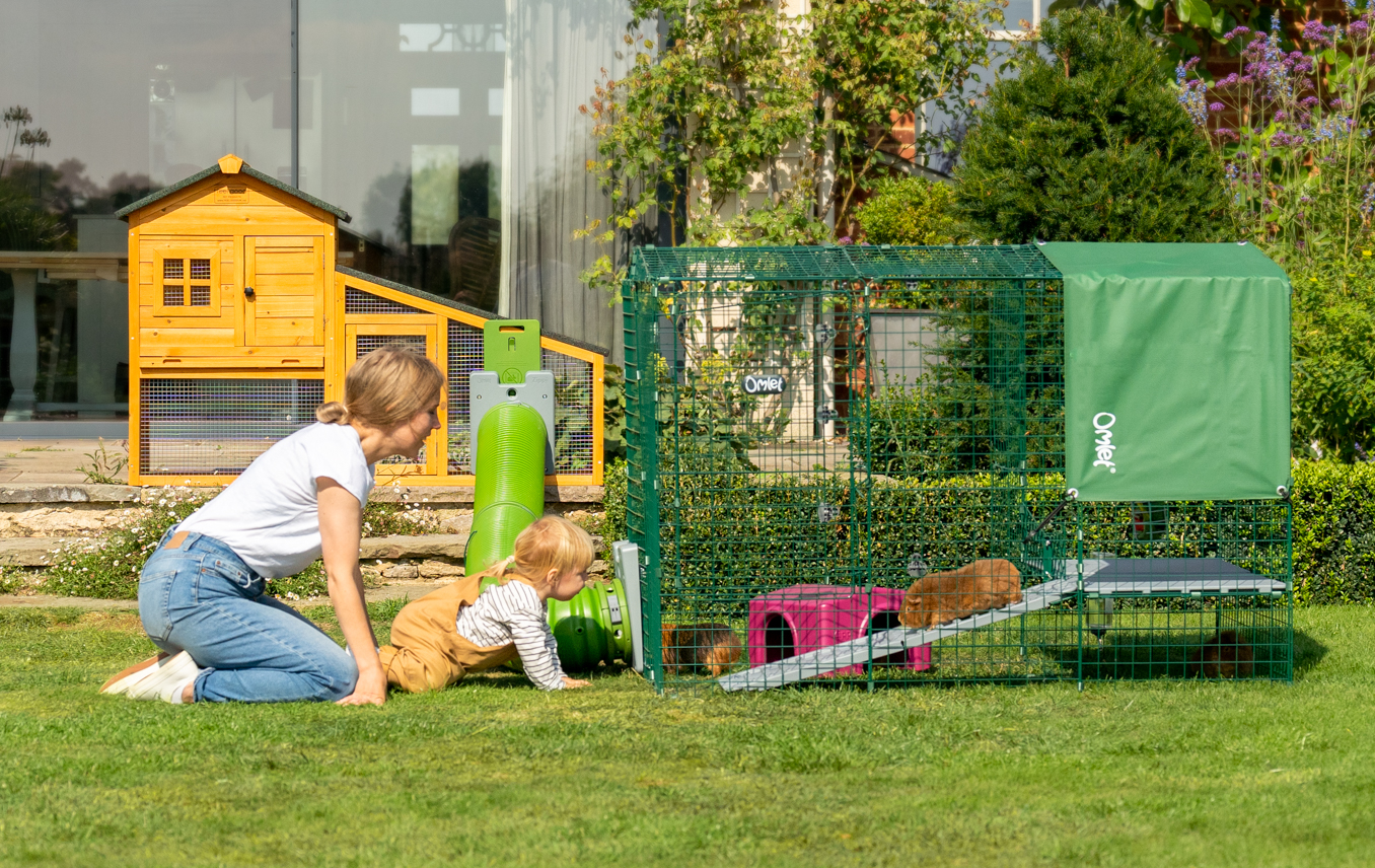 A family playing with guinea pigs next to the Zippi run