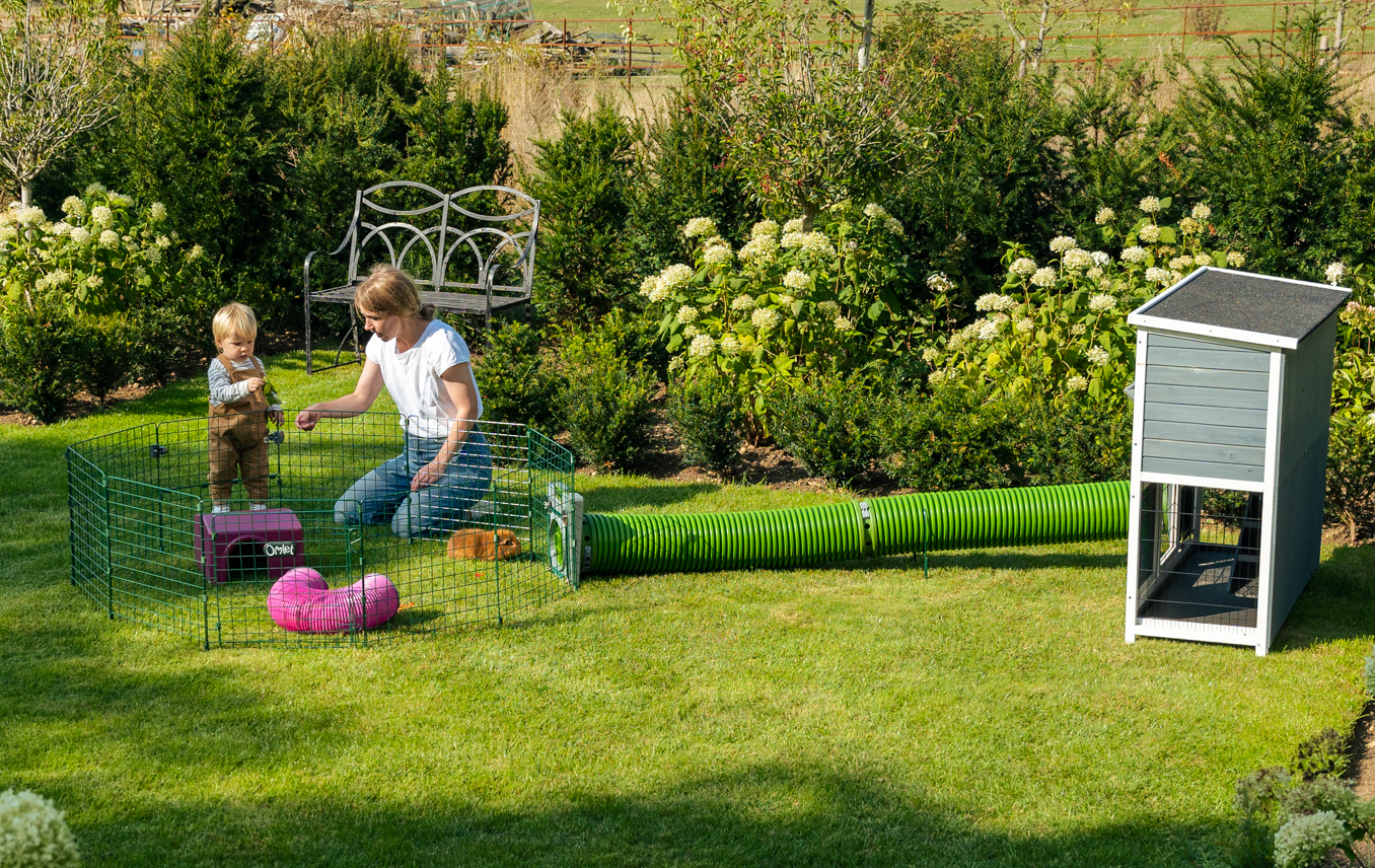 guinea pig hutch connected to a small animal playpen using a zippi burrow pipe