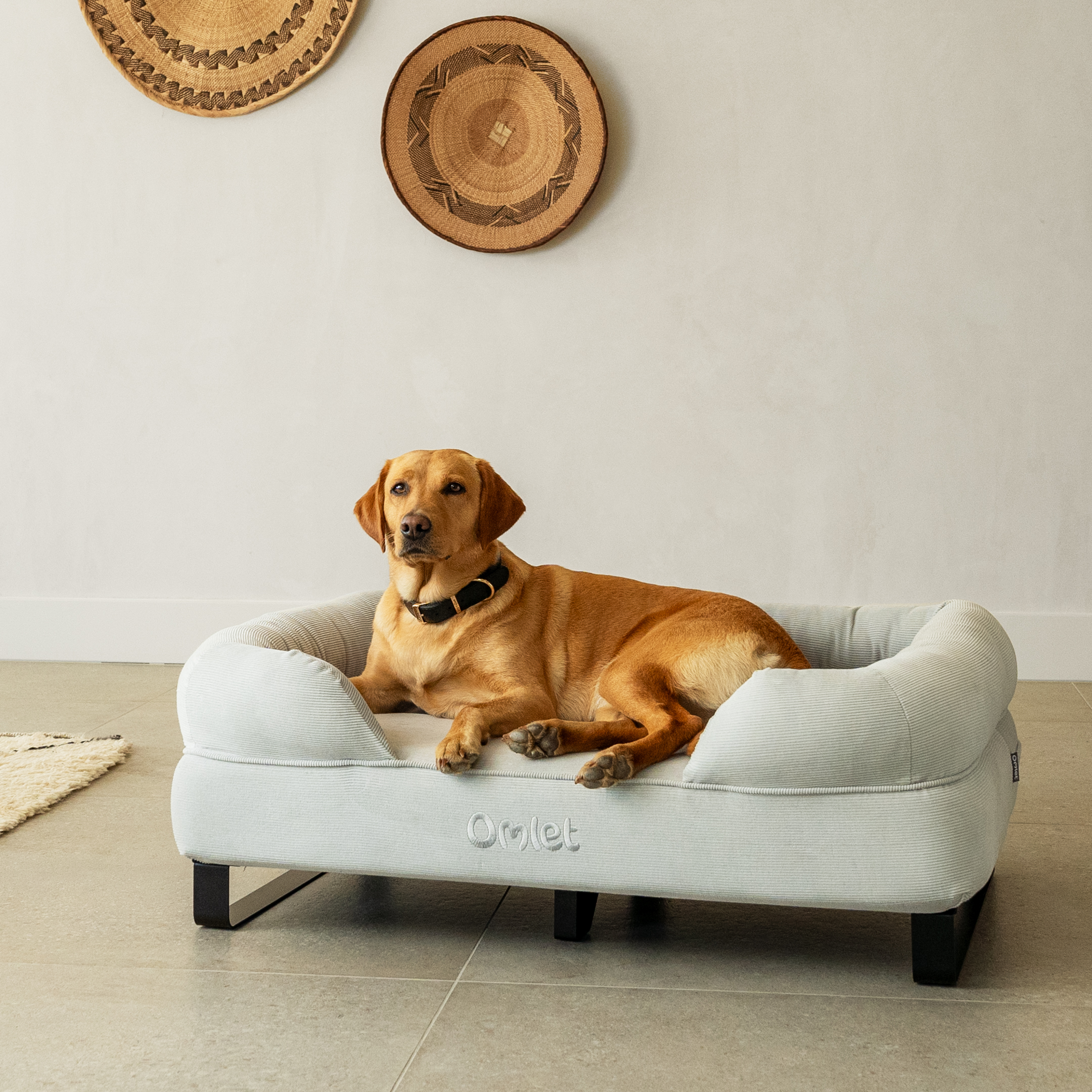 Orthopedic dog bed large breed discount