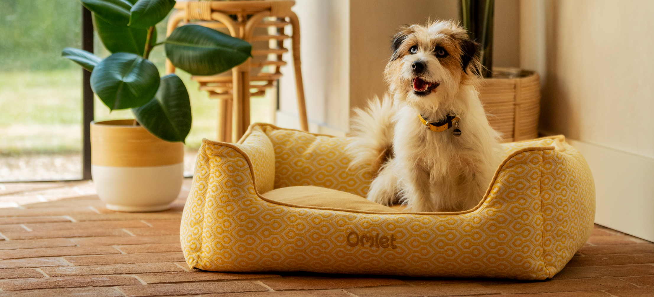 Terrier on Omlet's Nest dog bed in Honeycomb Pollen