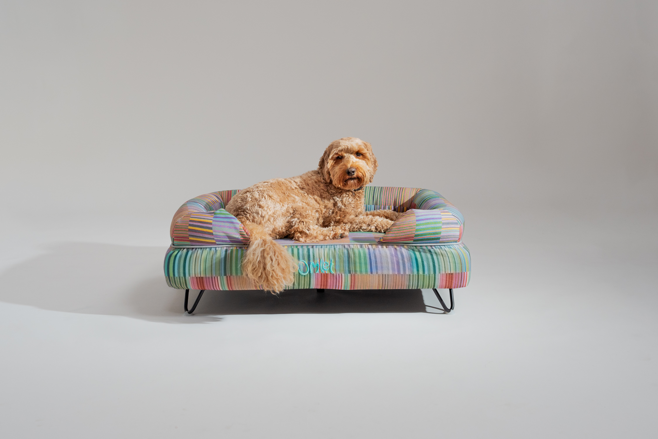Poodle cross on their Omlet Bolster dog bed in Pawsteps Electric