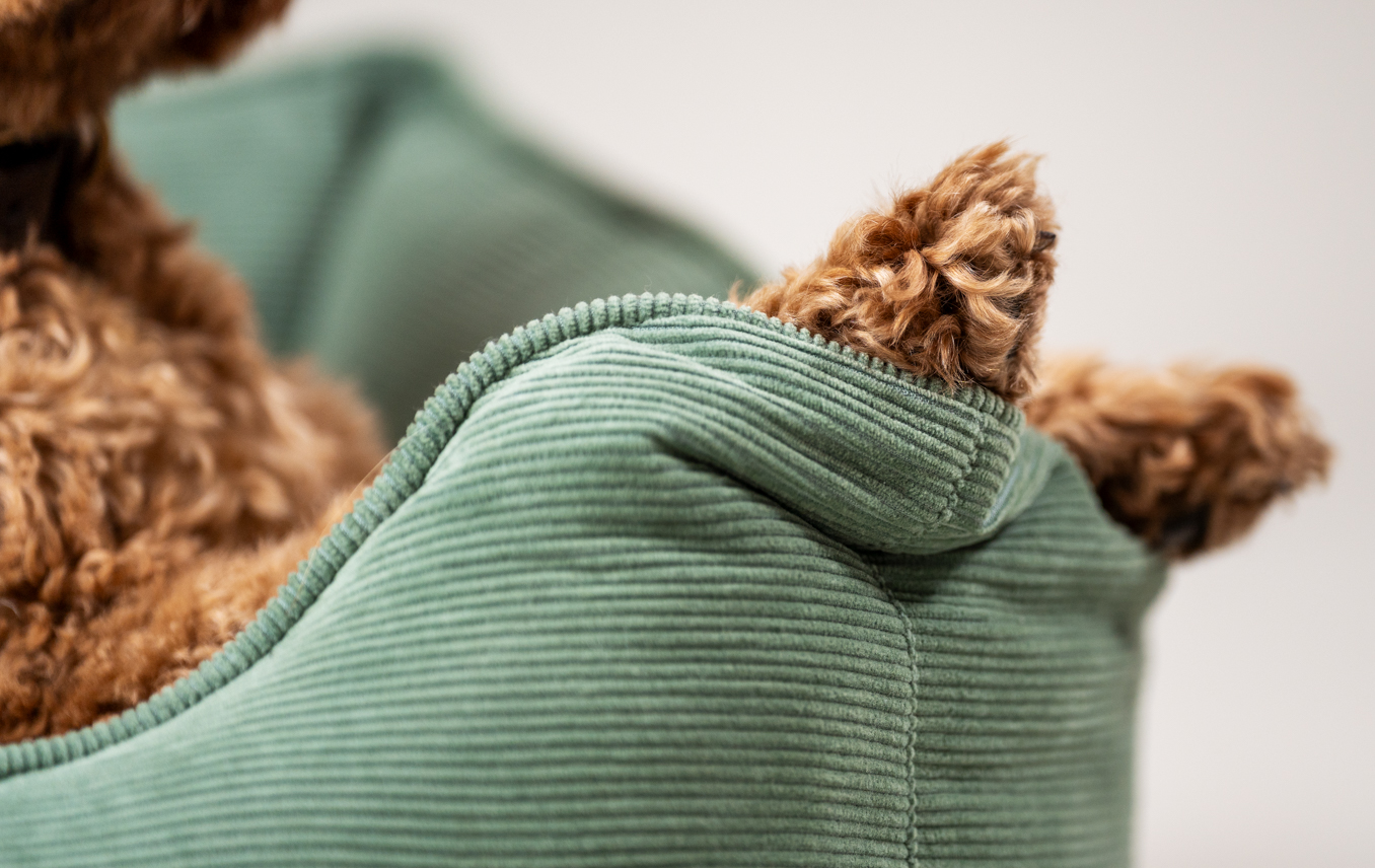 Close up of paws resting against Corduroy Moss nest dog bed.