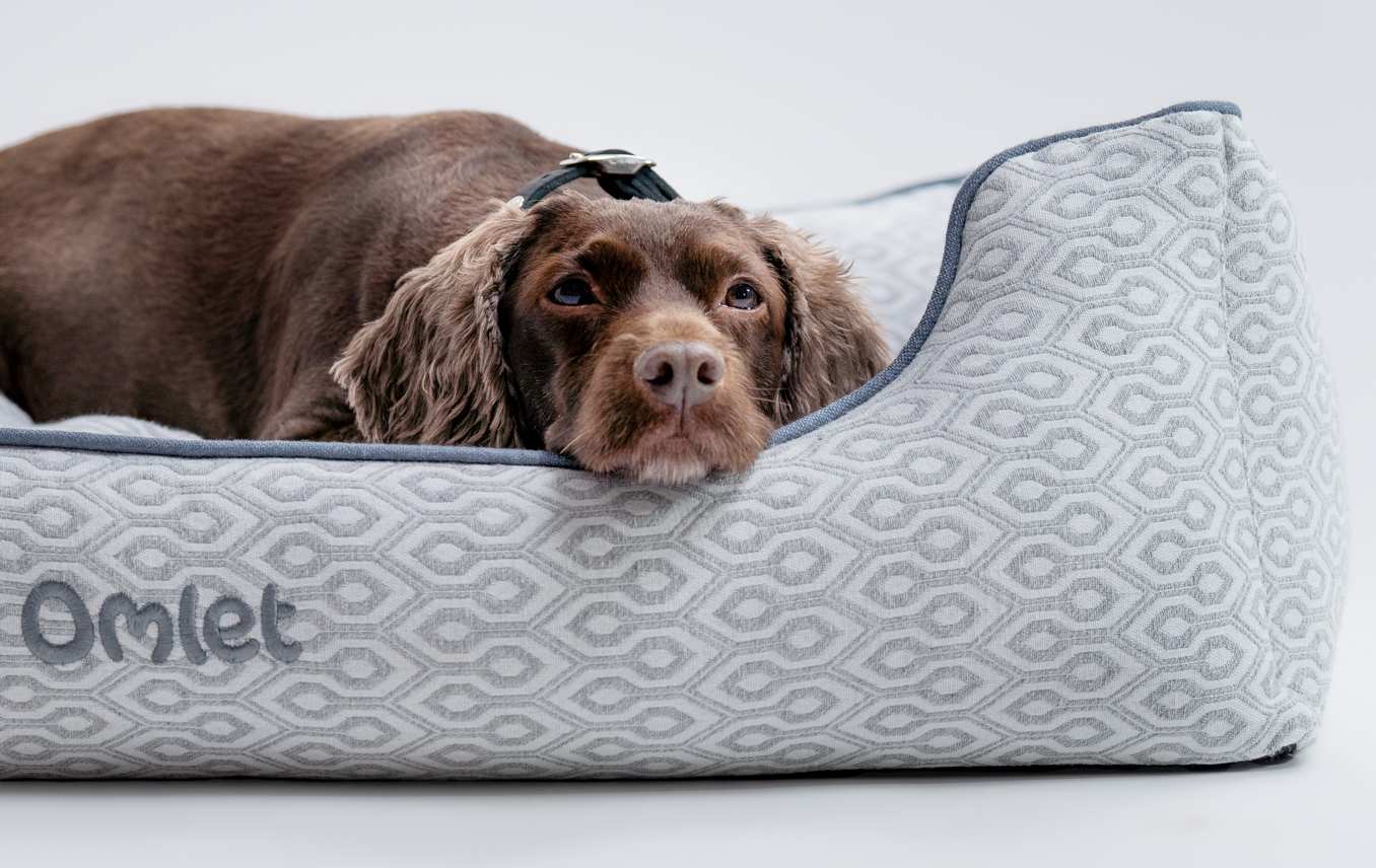 Spaniel laying on Honeycomb Slate nest dog bed, with head resting on bumper.