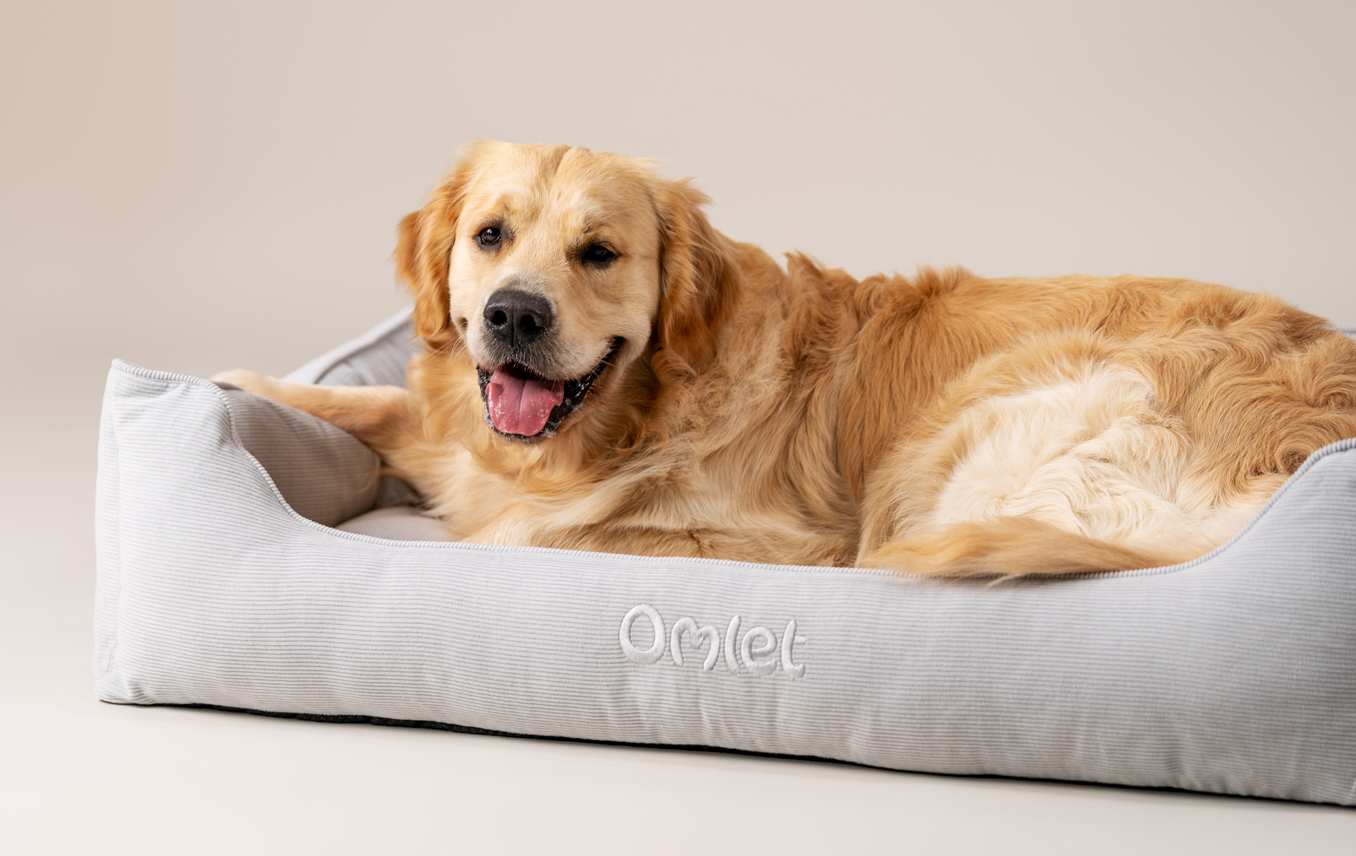 Golden retriever on their Omlet Nest dog bed in Corduroy Pebble