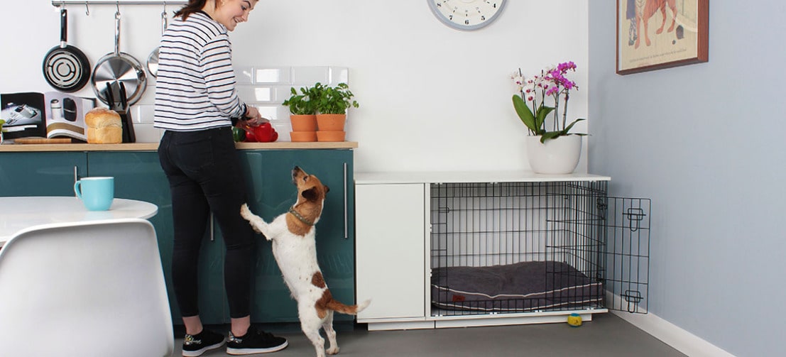 Jack Russell terrier jumping up at their owner next to the Omlet Fido Studio dog crate