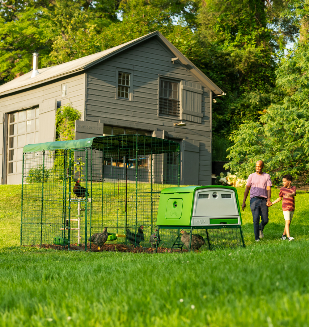 Omlet Eglu Cube in a large Walk In Chicken Run in Michigan