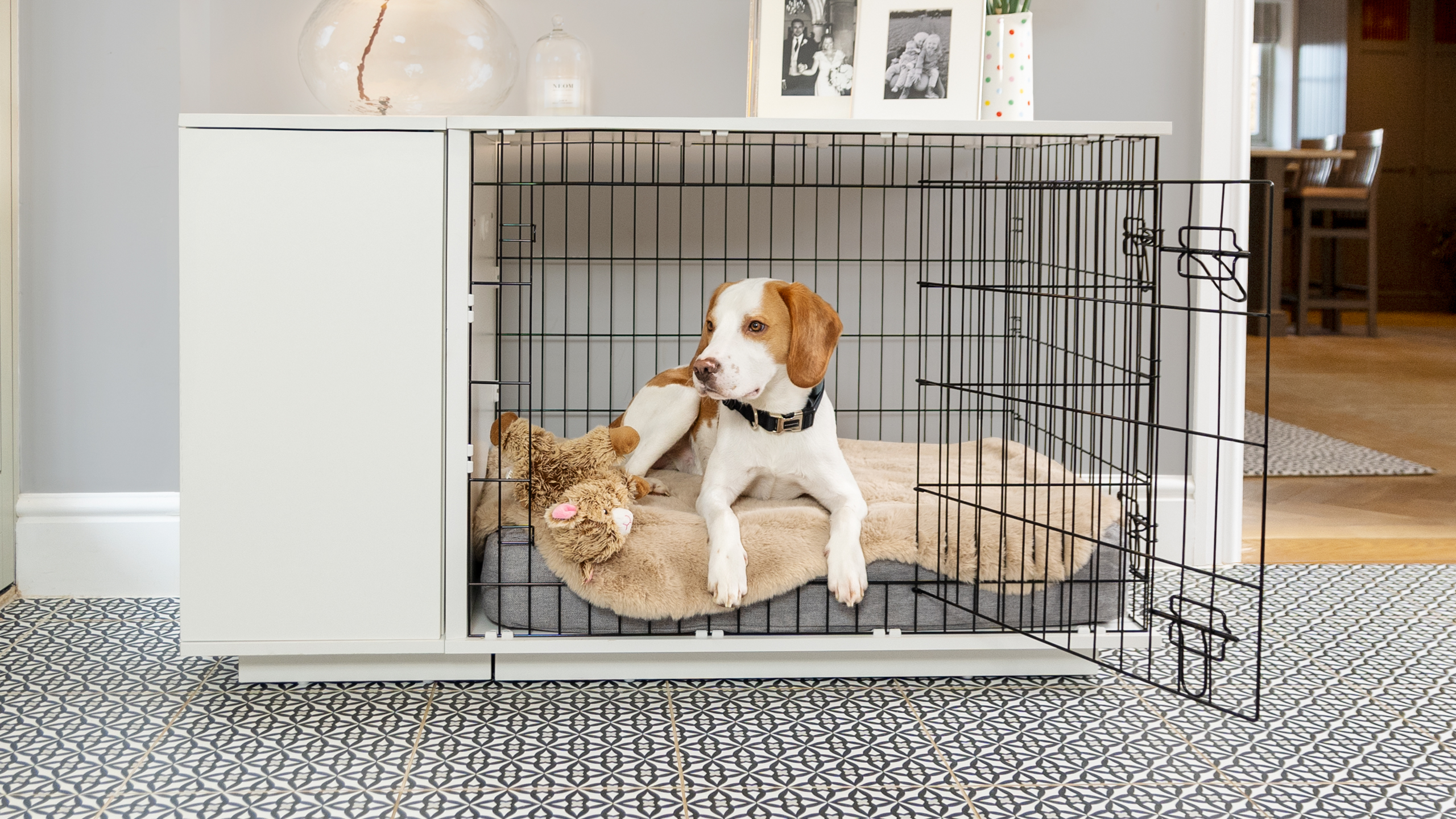Dog in their Omlet Fido Studio Dog Crate