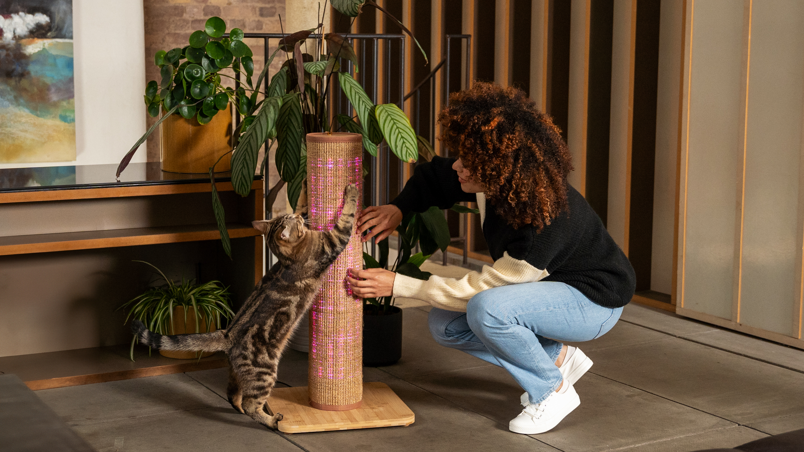 Woman playing with her cat on the Switch Cat Scratcher