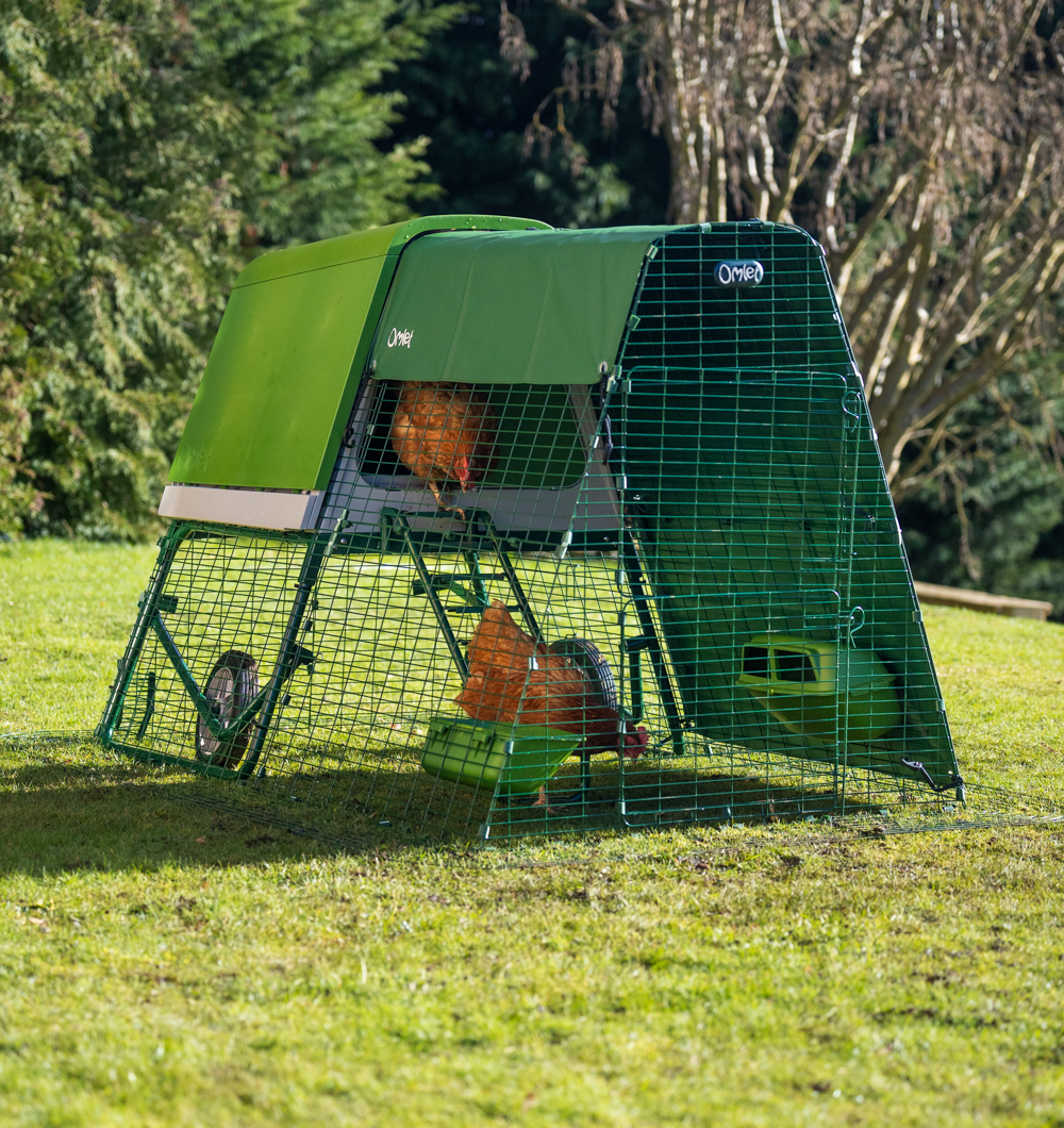 Chickens inside green Eglu Go UP Chicken Coop run with attached half run cover.