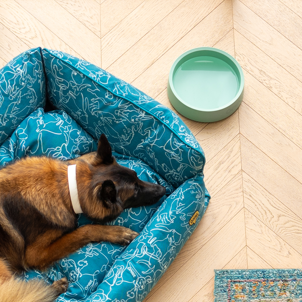 Large german shepherd lying in Nest Bed next to the Omlet dog bowl in sage colour.