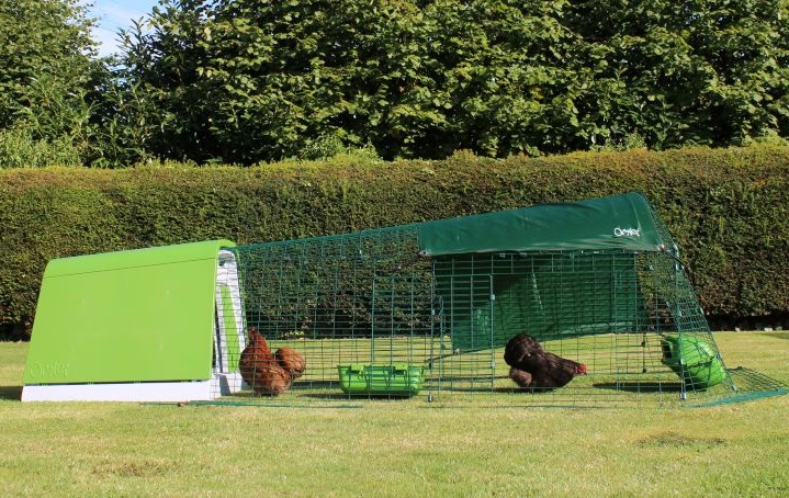Eglu Go Chicken Coop with 3m Run Package - Leaf Green