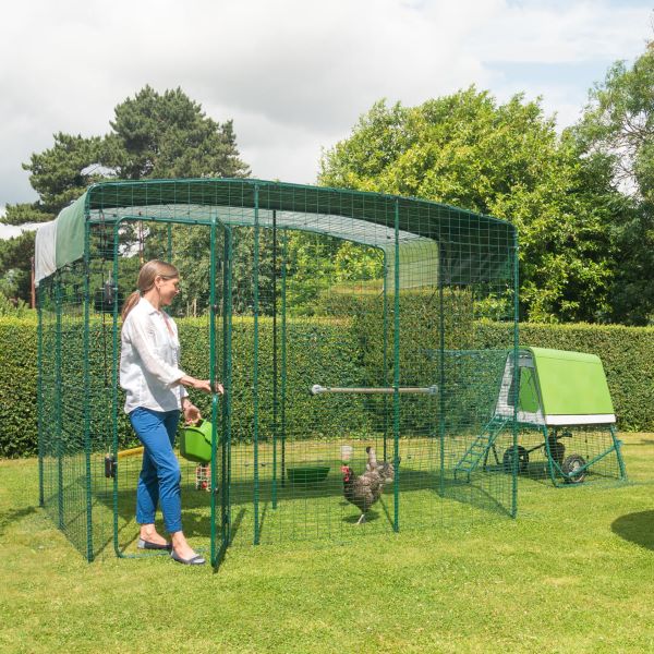Walk in Chicken Run - 2 x 2 x 2