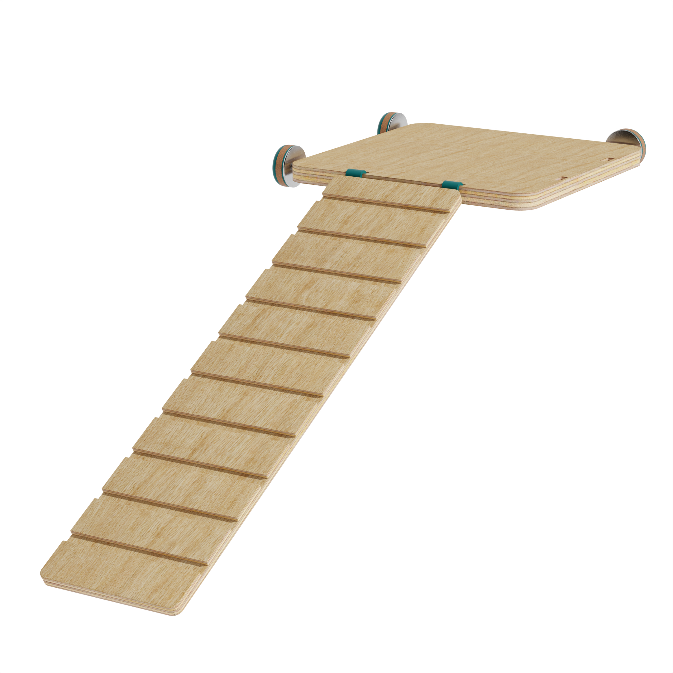 Fresh Look at Starter Hamster Accessories Kit
