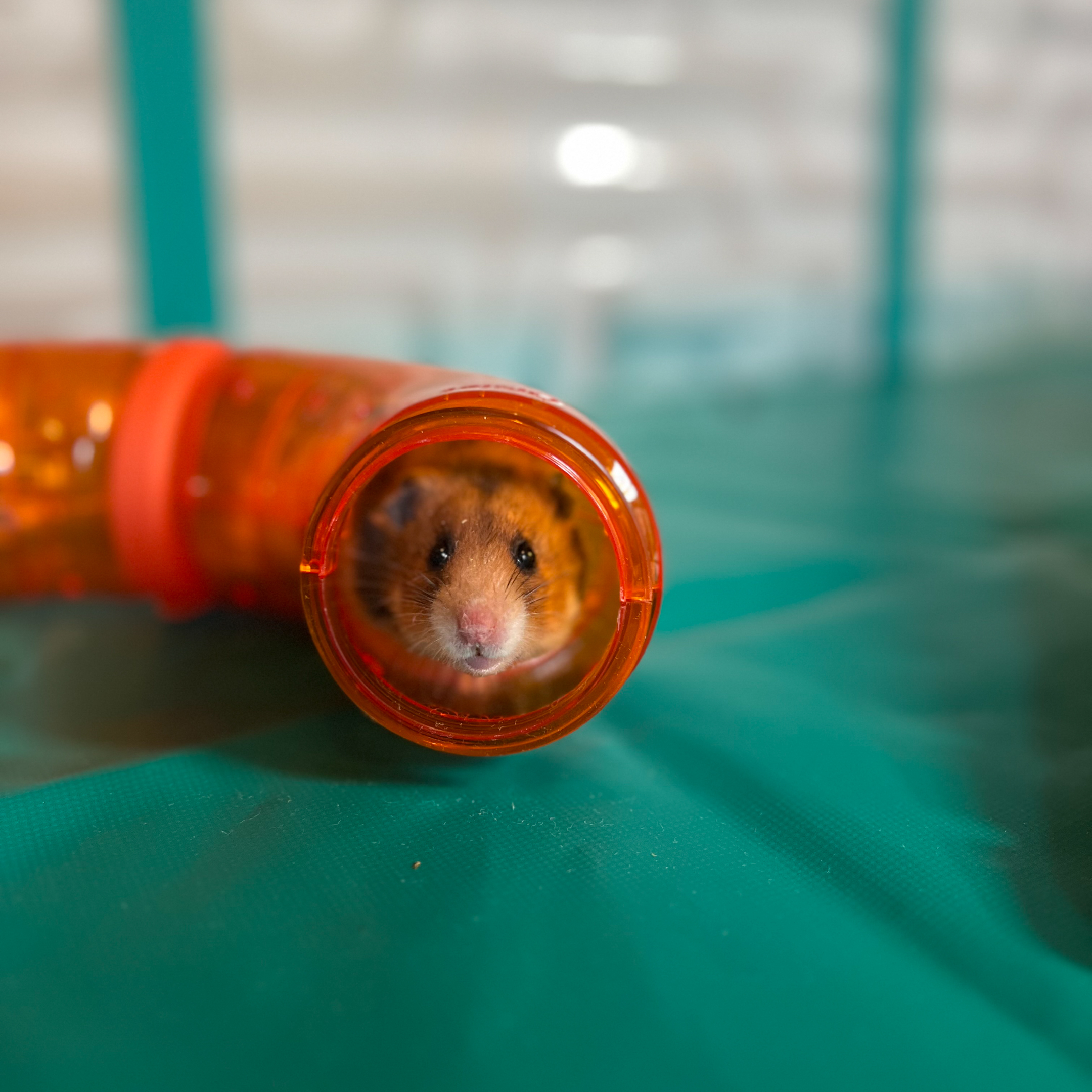 Gallery image with a fresh perspective