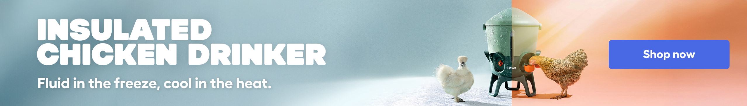 insulated chicken drinker