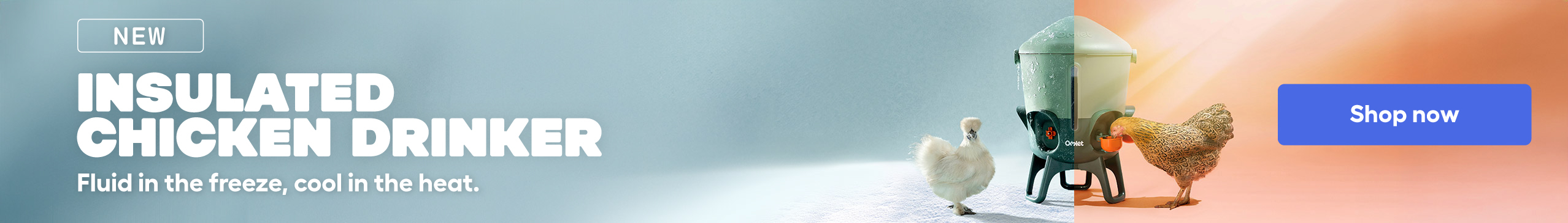 insulated chicken drinker