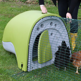 Opening the door of the Eglu Classic Chicken Coop