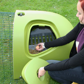 Removing an egg from the nesting box, through the egg port