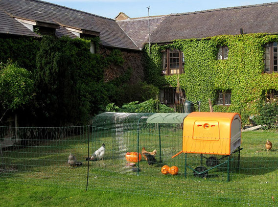 Garden size recommendations