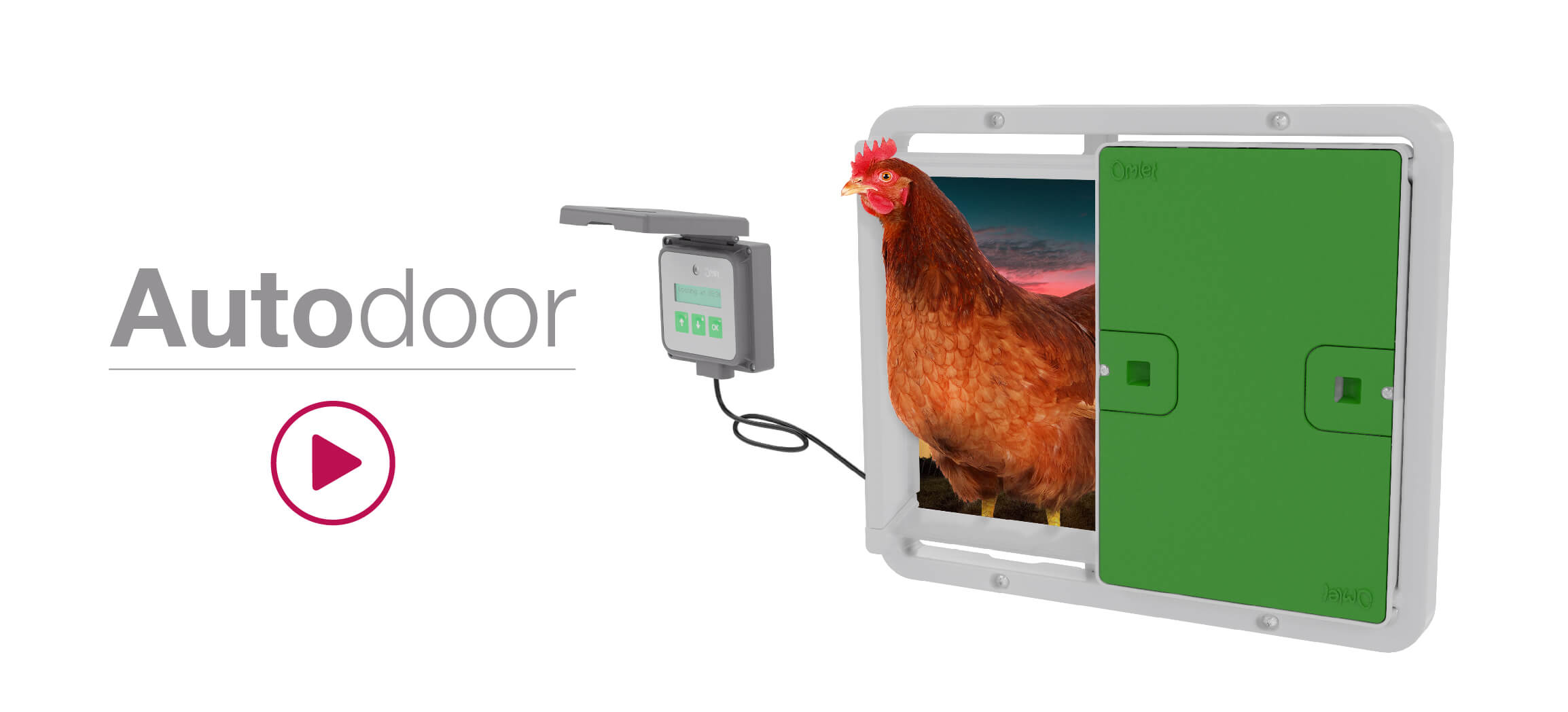 Automatic Chicken Coop Door Opener Omlet Chicken Coops, Chicken