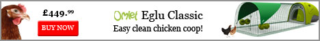 The easy clean chicken coop