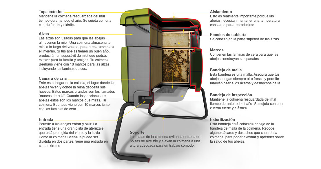 Cross sectional diagram of the Beehaus.