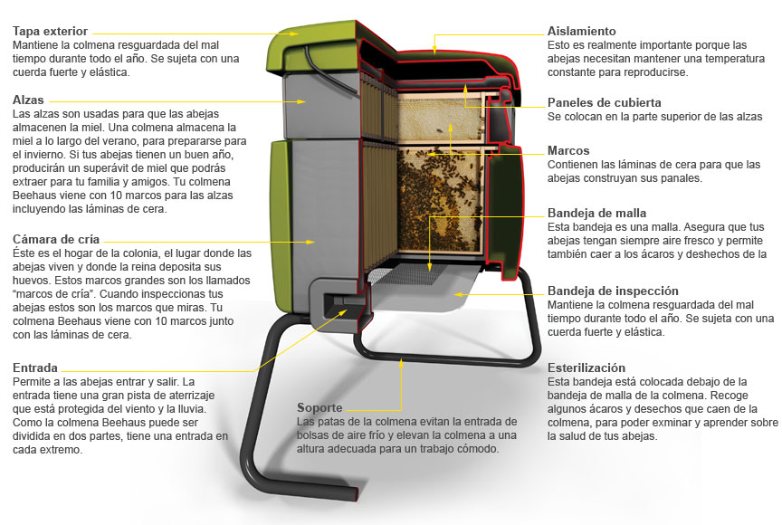 The Components of the Beehaus