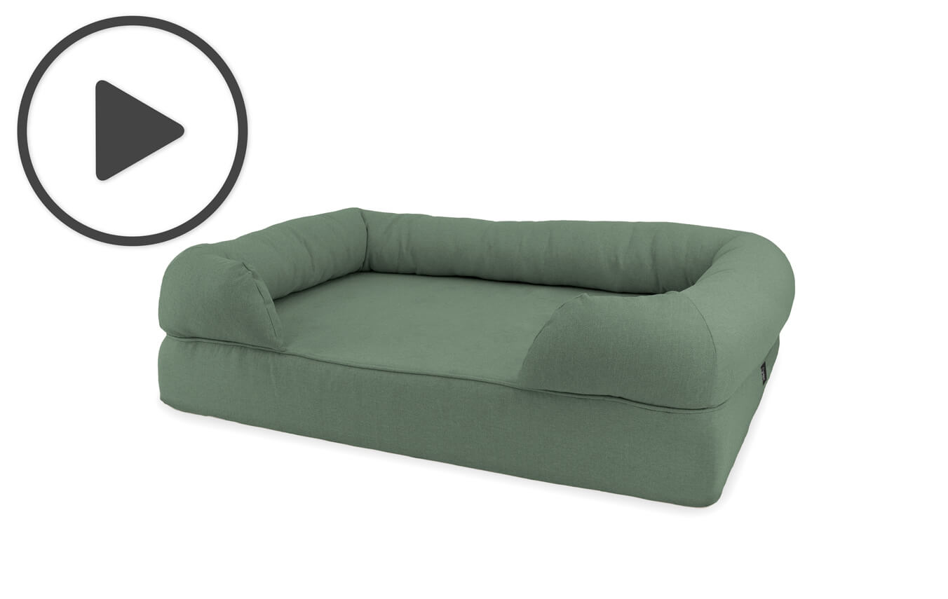 green dog bed