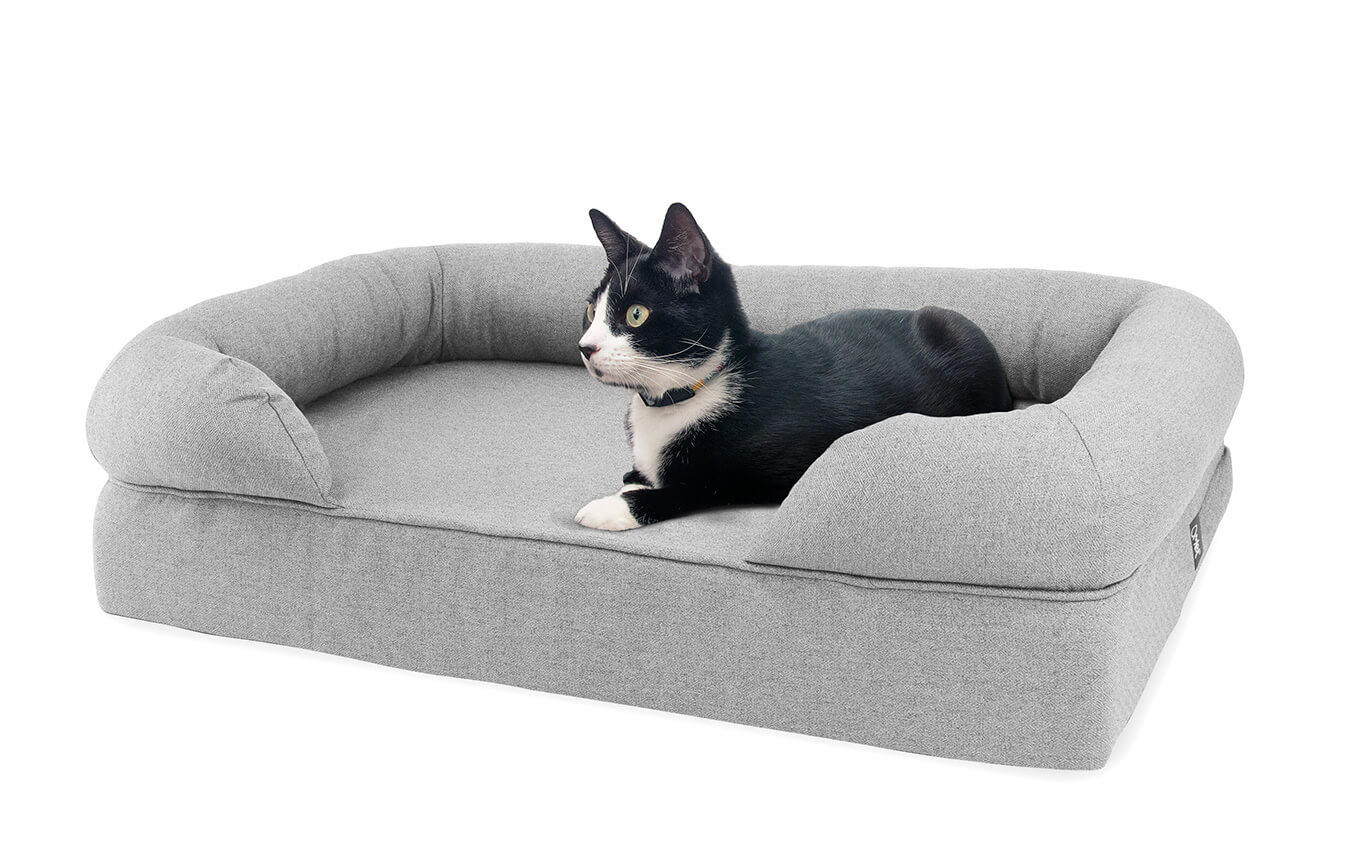 memory foam cat beds