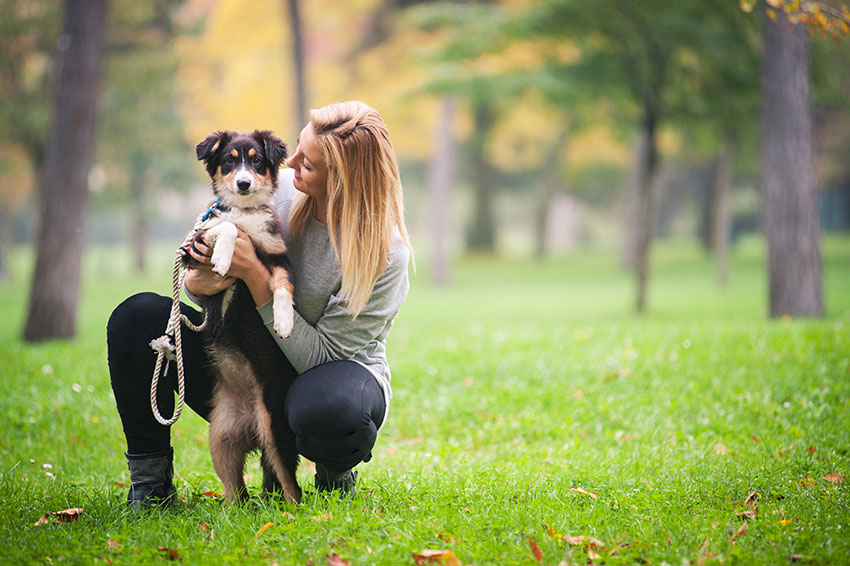 Breeds Australian Shepherd in park with owner