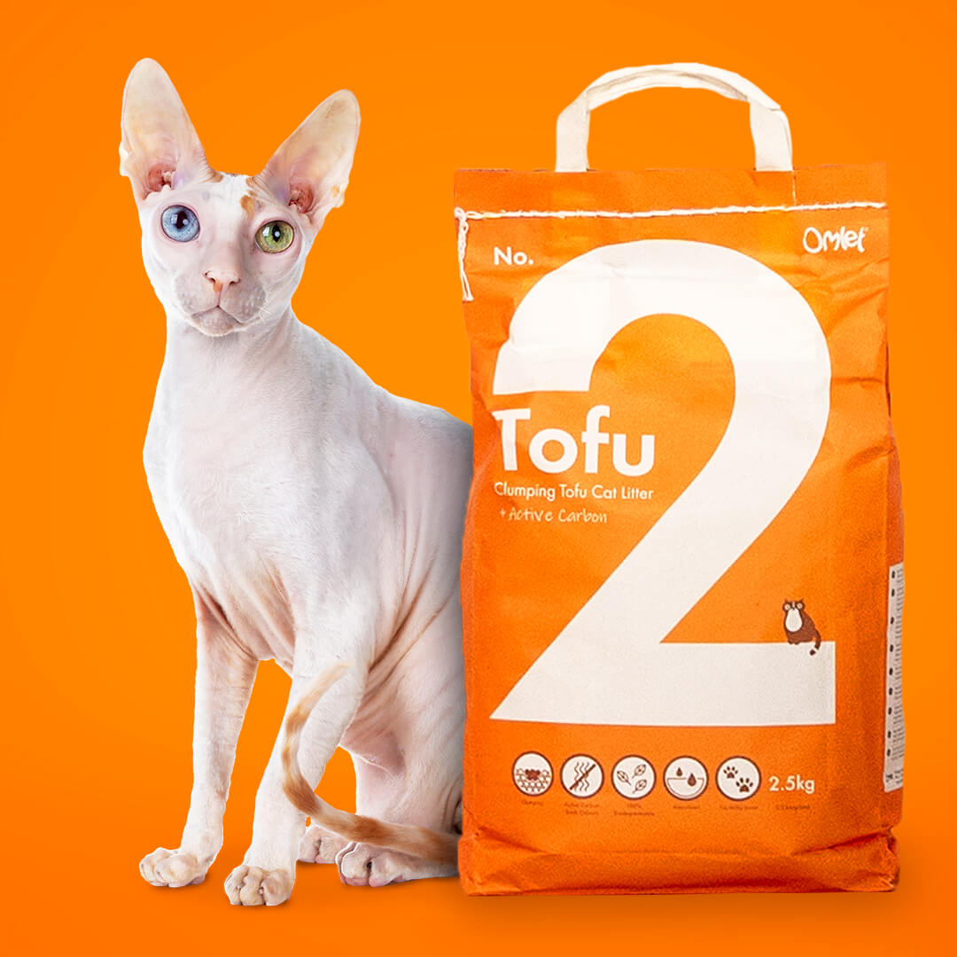 Tofu sales cat litter