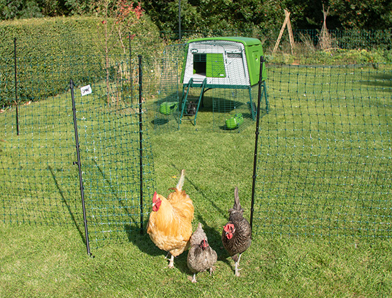 Omlet Chicken Fencing Mk2 - 32 metres - inc. Gate, Poles and Guy Lines-69241 