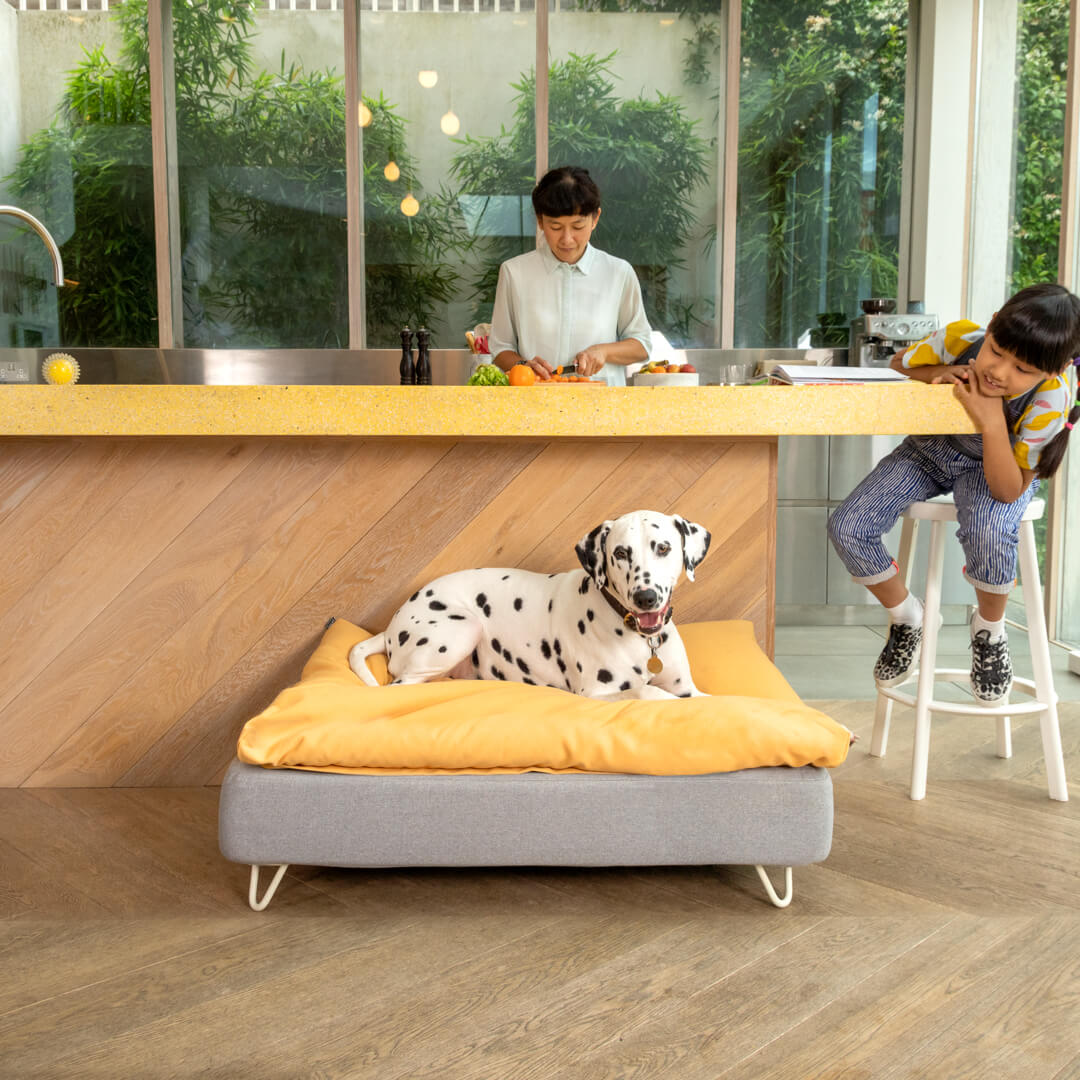 omlet dog sofa