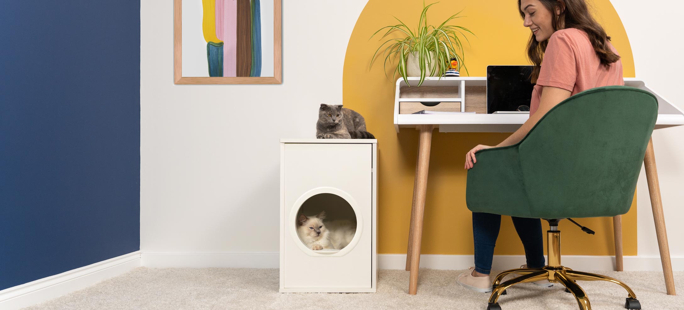 Anko cat litter box sale