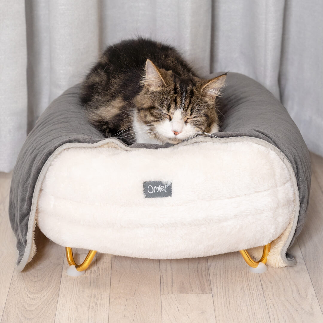 senior cat bed