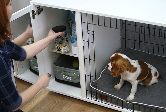 Die beste Art einen Hund zu erziehen, ist mit einer Hundebox