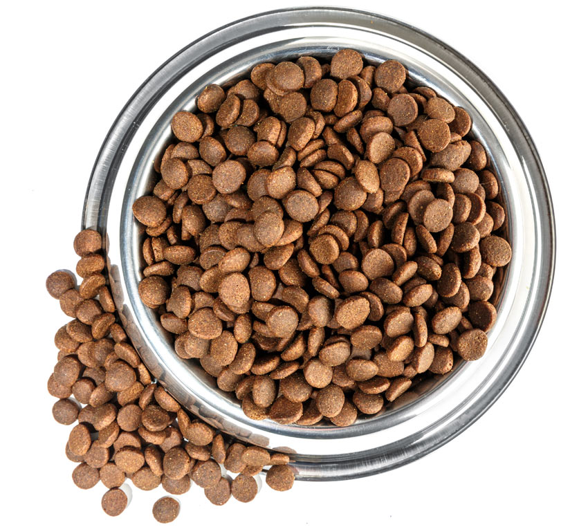 What Is A Good Dry Dog Food Uk What Is A Good Dry Dog Food Uk